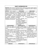 Matriz DOFA VANITY EXPRESSION SPA