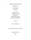 ANALISIS SITUACIONAL DE LOS CORDOBAS