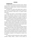 PROGRAMA FUNDAMENTACIÓN