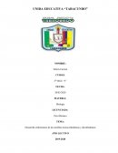 Desarrollo embrionario de las semillas monocotiledóneas y dicotiledóneas