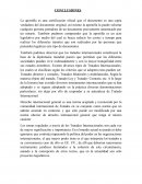 Aporte DIP Conclusiones