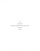 Administracion en la prevencion de riegos tarea 1