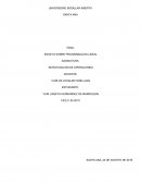 ENSAYO SOBRE PROGRAMACION LINEAL