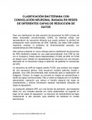 CLASIFICACIÓN BACTERIANA CON CONVOLUCIÓN NEURONAL BASADA EN REDES DE DIFERENTES CAPAS DE REDUCCIÓN DE DATOS