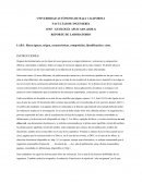 REPORTE DE LABORATORIO LAB 1: Rocas ígneas, origen, características, composición, identificación y usos