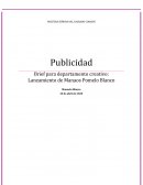 Brief para departamento creativo: Lanzamiento de Manaos Pomelo Blanco