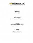 Suecia Y El Estado De Bienestar