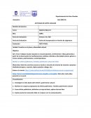 Actividad de artes visuales. Creación en el plano y diversidad cultural