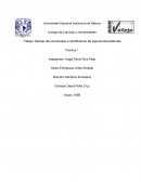 Práctica: Manejo del microscopio e identificación de algunas biomoléculas