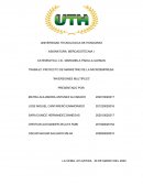 PROYECTO DE MARKETING DE LA MICROEMPRESA: “INVERSIONES MULTIPLES”