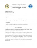 Métodos de magnetización para el proceso de partículas magnéticas