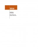 DESARROLLO ESTRATEGICO empresa Ingevec