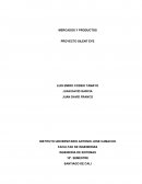MERCADOS Y PRODUCTOS PROYECTO SILENT EYE