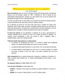 Mientras por competir por tu cabello -Comentario de texto de Góngora