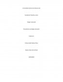 Pensamiento sociológico educativo