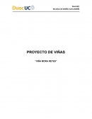 PROYECTO DE VIÑAS “VIÑA MORA REYES”