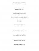 PROBLEMÁTICA AMBIENTAL SOBRE LA PORCÍCOLA DAGUA EN BUENAVENTURA VALLE DEL CAUCA