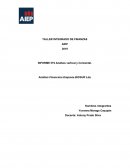 Avance biosur ltda: analisis financiero