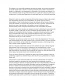 El sector de biocombustibles