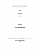 EVALUACIÓN DE IMPACTO AMBIENTAL
