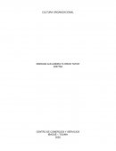 Cultura organizacional. Ventajas de la planificación organizacional