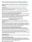 Psicologia del neurodesarrollo