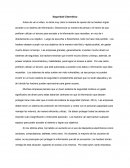 Seguridad Cibernética