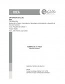 Procesos basicos de windows