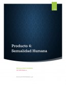 Sexualidad humana