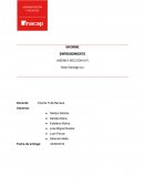 INFORME EMPRENDIMIENTO