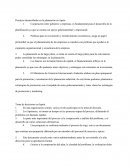 Practicas desarrolladas en la planeación en Japón