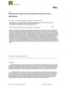 Resumen: el ruido del ocio