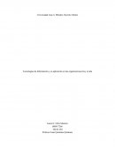 Tecnologías de Información y su aplicación en las organizaciones hoy en día