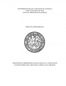 DIAGNÓSTICO EMPRESARIAL REALIZADO EN LA ASOCIACIÓN JUVENTUD PRO VIDA SHEYAVOH, COBÁN ALTA VERAPAZ