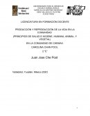 PRODUCCIÓN Y REPRODUCCIÓN DE LA VIDA EN LA COMUNIDAD (PRINCIPIOS DE SALUD E HIGIENE, HUMANA, ANIMAL, Y VEGETAL)