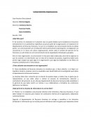 Comportamiento Organizacional. Caso Practico Clima Laboral