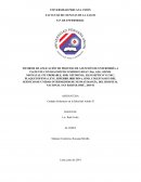 Cuidado Enfermero en la Salud del Adulto