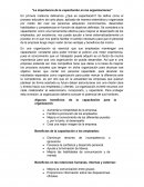 La importancia de la capacitación en las organizaciones