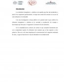 Alimentos transgenicos y sinteticos