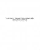 ENSAYO “INVERSIÓN PARA LA EXPLOTACIÓN DE RECURSOS NATURALES’’