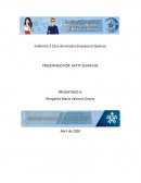 EVIDENCIA CASO DE ESTUDIO EMPRESA QUIMICO