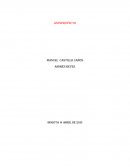 Anteproyecto Restaurante sabor raquireño