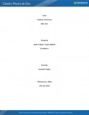 Cuadro comparativo de catedra