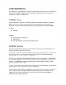 Analisis de factibilidad