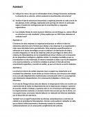 Actividad 4 Acme y Omega Diseño Organizativo