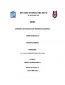 TERMODINAMICA INVESTIGADORES