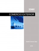 Ensayo de Comercio Exterior