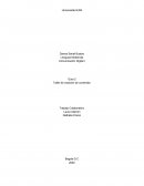 Comunicación Digital I Guía 2