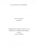 Ensayo Teorías de la Administración