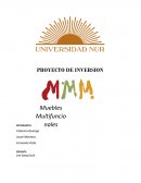 PROYECTO DE INVERSION Muebles multifuncinales